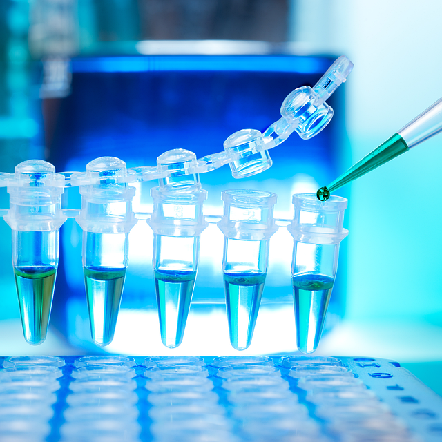 高性能活性凝胶类催化剂，确保制品具有优异的耐候性、耐化学性和耐磨性